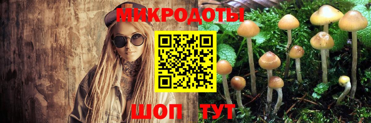 Псилоцибиновые грибы MAGIC MUSHROOMS Выборг