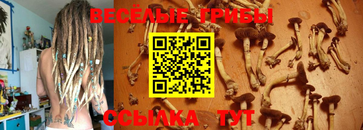 Выборг  Галлюциногенные грибы GOLDEN TEACHER  Галлюциногенные грибы мицелий  Вход с VPN 