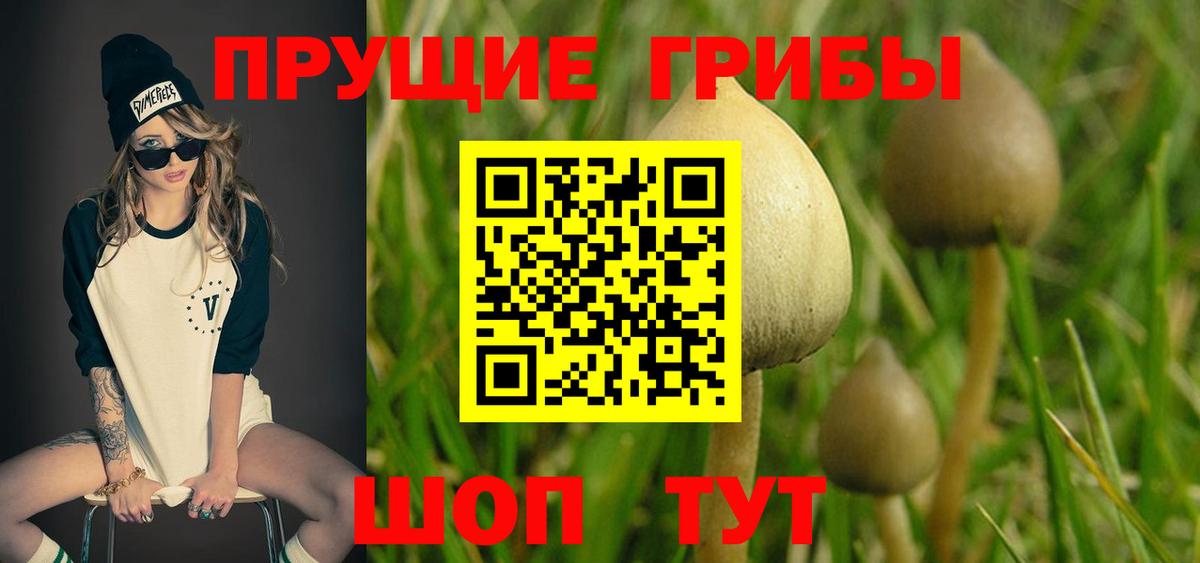 Каннабис Выборг