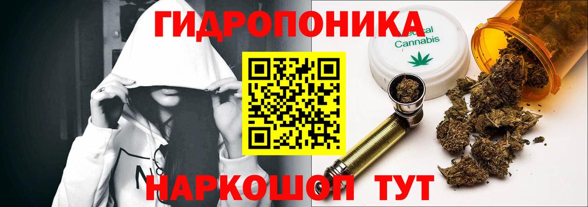 Бошки Шишки семена Выборг